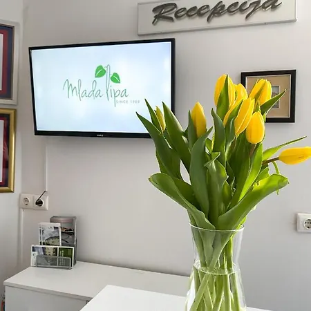 Mlada Lipa בית הארחה
