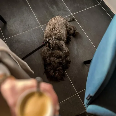 Mlada Lipa 3* Maribor