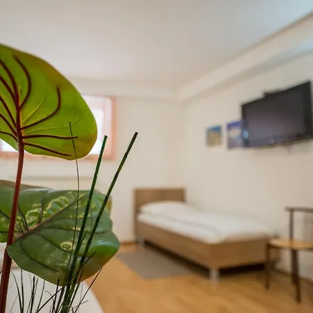 Mlada Lipa Guest house Maribor