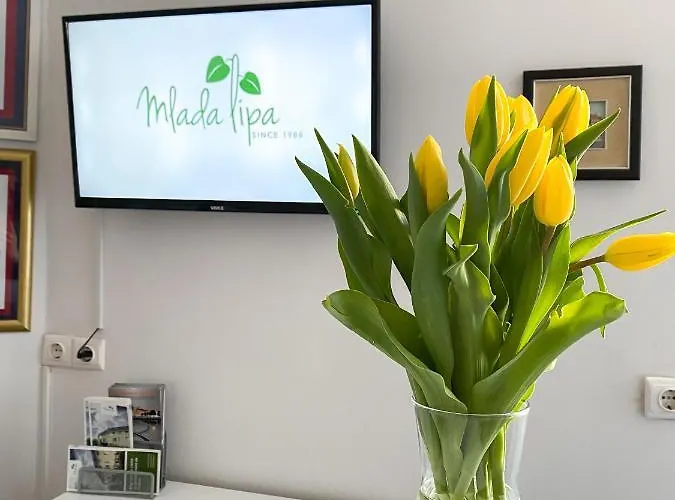 Mlada Lipa Maison d'hôtes
