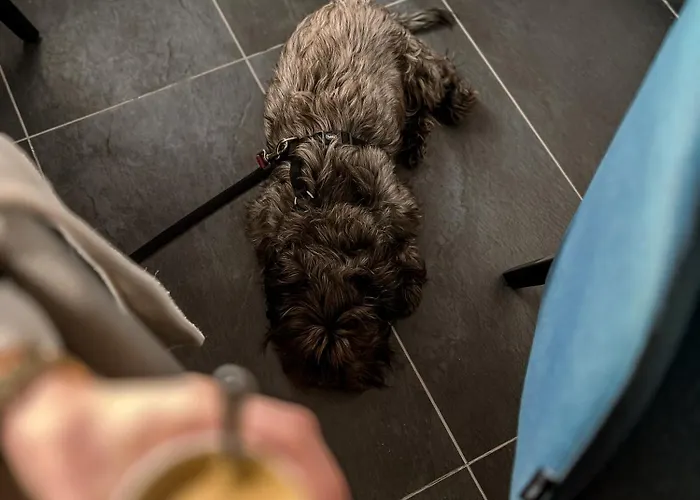 Mlada Lipa 3* Maribor