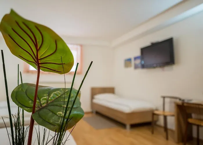 Mlada Lipa Maison d'hôtes Maribor